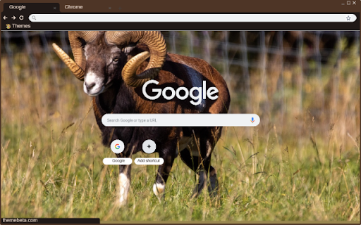 De rung chau Au  from Chrome web store to be run with OffiDocs Chromium online