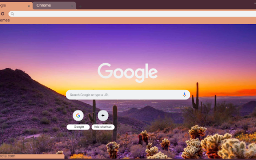 Desert Cactus Sunset  from Chrome web store to be run with OffiDocs Chromium online