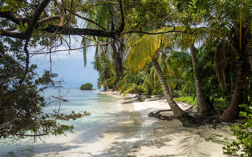Deserted beach  from Chrome web store to be run with OffiDocs Chromium online