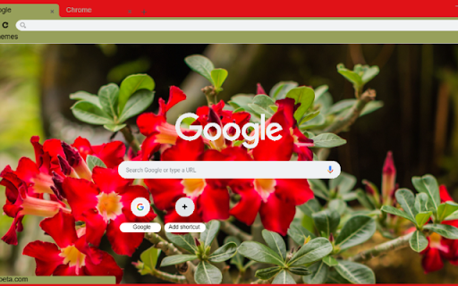 Desert Rose  from Chrome web store to be run with OffiDocs Chromium online