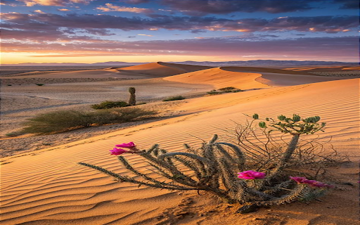 Desert wallpaper  from Chrome web store to be run with OffiDocs Chromium online