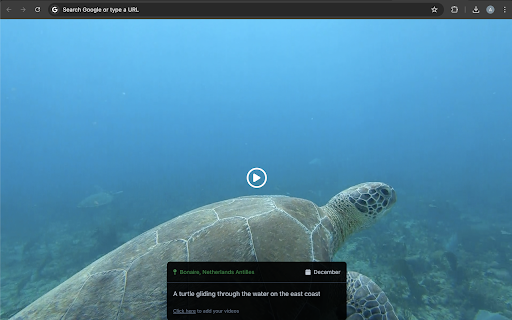 Destination Tab: what are the best places to go diving?  from Chrome web store to be run with OffiDocs Chromium online