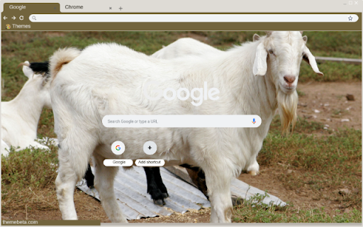 De trang  from Chrome web store to be run with OffiDocs Chromium online