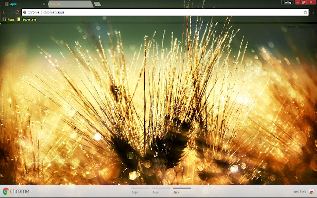 Dew Nature Water Drop Wheat מחנות האינטרנט של Chrome להפעלה עם OffiDocs Chromium באינטרנט