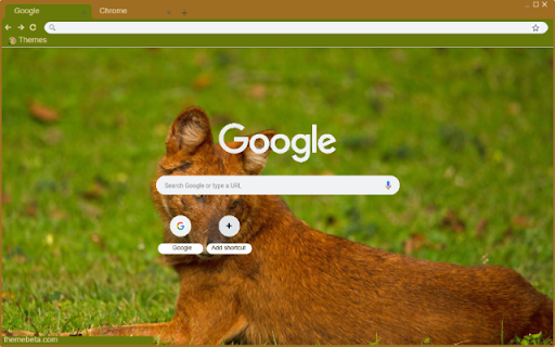 Dhole  from Chrome web store to be run with OffiDocs Chromium online