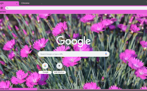 Dianthus  from Chrome web store to be run with OffiDocs Chromium online