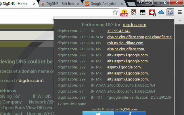 DigDNS  from Chrome web store to be run with OffiDocs Chromium online