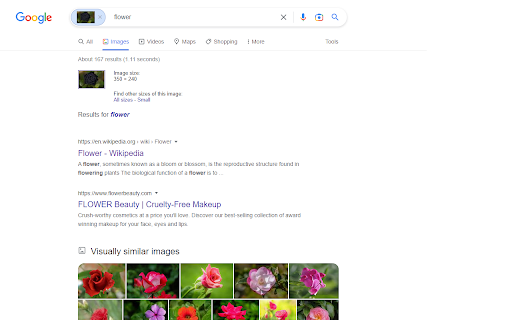 Disable Google Lens  from Chrome web store to be run with OffiDocs Chromium online