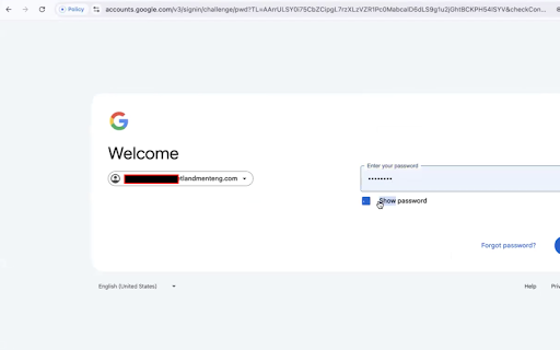 Disable Password Reveal  from Chrome web store to be run with OffiDocs Chromium online