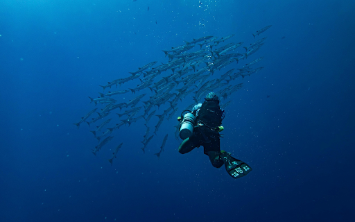 Diver and the Barracudas  from Chrome web store to be run with OffiDocs Chromium online