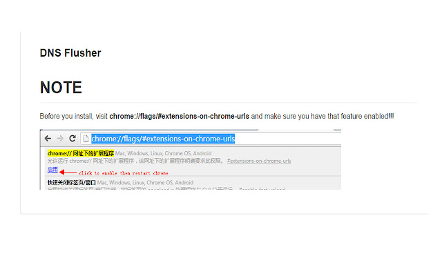 DNS Flusher  from Chrome web store to be run with OffiDocs Chromium online