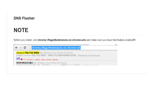 DNS Flusher  from Chrome web store to be run with OffiDocs Chromium online