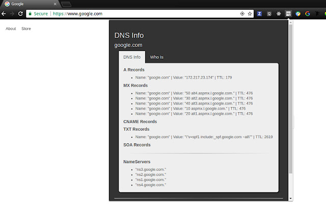 DNS INFO  from Chrome web store to be run with OffiDocs Chromium online