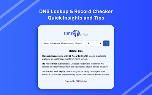 DNS Info: Free DNS Lookup  from Chrome web store to be run with OffiDocs Chromium online