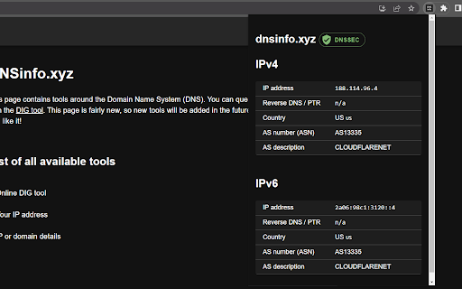 DNSinfo.xyz Extension  from Chrome web store to be run with OffiDocs Chromium online
