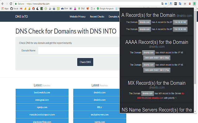 DNS Into  from Chrome web store to be run with OffiDocs Chromium online