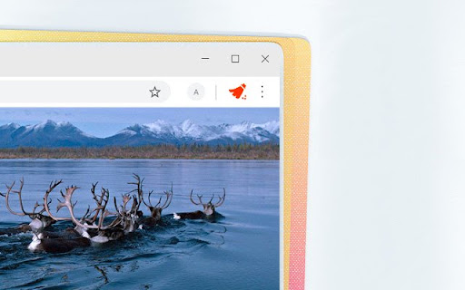 dns killer  from Chrome web store to be run with OffiDocs Chromium online