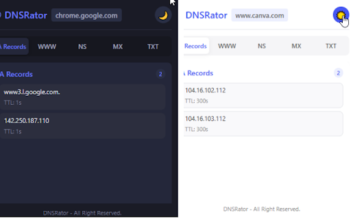 DNSRator  from Chrome web store to be run with OffiDocs Chromium online