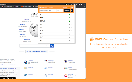 DNS Record Checker  from Chrome web store to be run with OffiDocs Chromium online