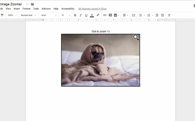 Docs Image Zoomer  from Chrome web store to be run with OffiDocs Chromium online
