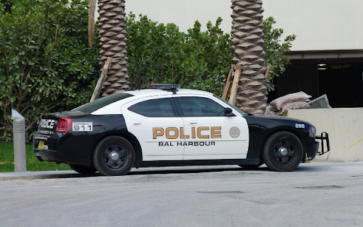 Dodge Charger Pursuit: A Symbol of American Law Enforcement  from Chrome web store to be run with OffiDocs Chromium online