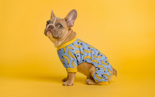 Dog and banana shirt  from Chrome web store to be run with OffiDocs Chromium online