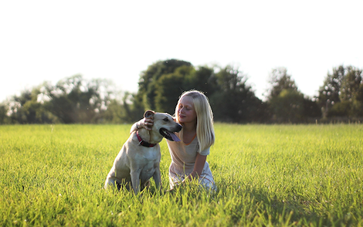 Dog and girl  from Chrome web store to be run with OffiDocs Chromium online