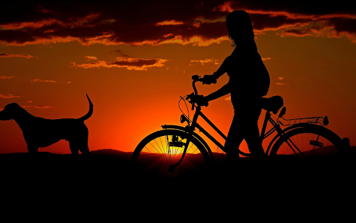 Dog and girl riding a bicycle  from Chrome web store to be run with OffiDocs Chromium online