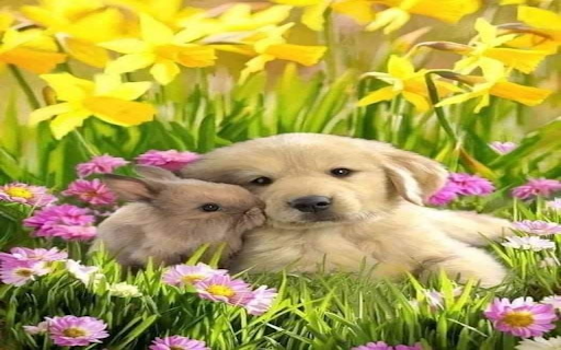 Dog and rabbit wallpaper  from Chrome web store to be run with OffiDocs Chromium online