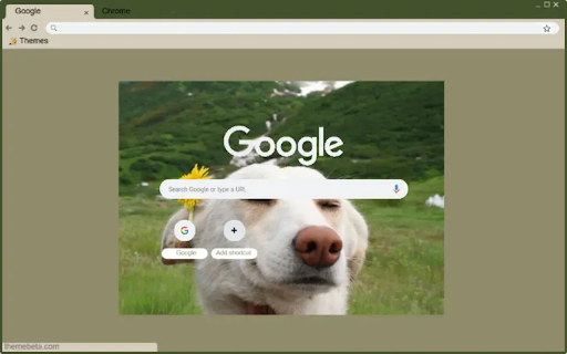 dog enjoying  from Chrome web store to be run with OffiDocs Chromium online