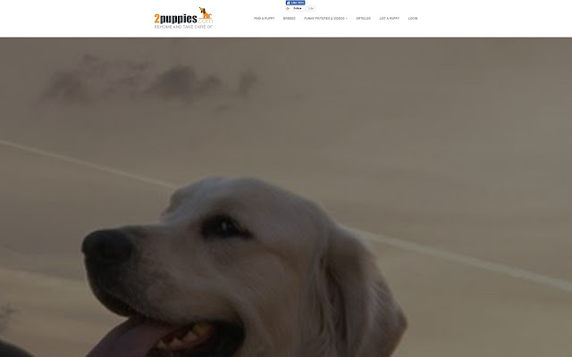 Dog for sale advertisments  from Chrome web store to be run with OffiDocs Chromium online
