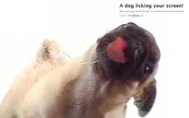 Dog licking your screen  from Chrome web store to be run with OffiDocs Chromium online