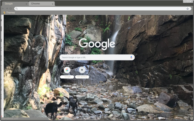 dogs and nature  from Chrome web store to be run with OffiDocs Chromium online