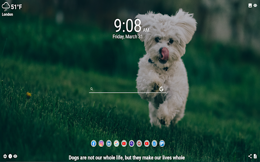 Dogs MeaVana  from Chrome web store to be run with OffiDocs Chromium online