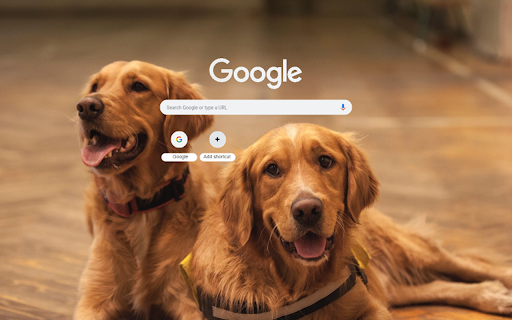 Dogs Rests Pet CBD Club  from Chrome web store to be run with OffiDocs Chromium online
