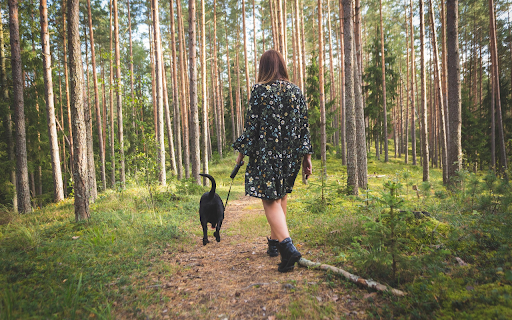 Dog walking  from Chrome web store to be run with OffiDocs Chromium online