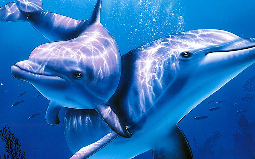 Dolphin 3D 789  from Chrome web store to be run with OffiDocs Chromium online