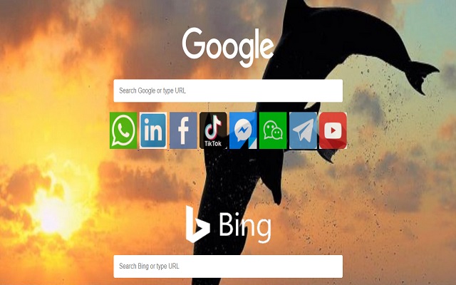 Dolphin Browser for PC version New Tab BG  from Chrome web store to be run with OffiDocs Chromium online