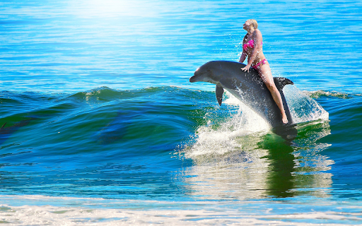 Dolphin ride  from Chrome web store to be run with OffiDocs Chromium online