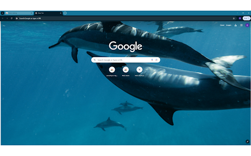 Dolphins swimming in the ocean  from Chrome web store to be run with OffiDocs Chromium online
