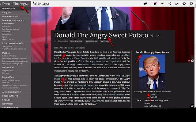 Donald Trump es una batata de la tienda web de Chrome que se ejecutará con OffiDocs Chromium en línea