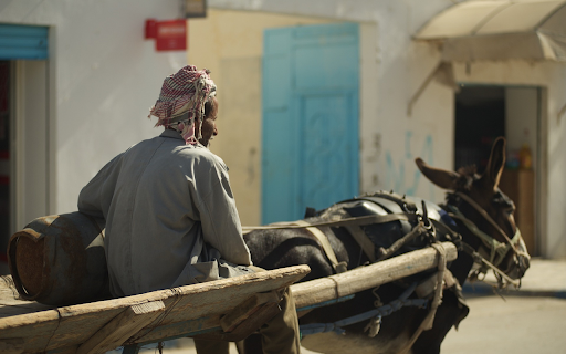 Donkey pulling a cart  from Chrome web store to be run with OffiDocs Chromium online