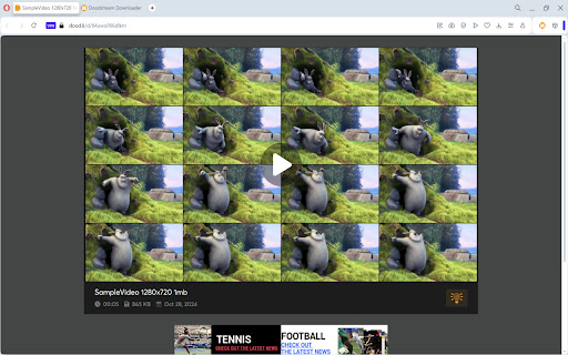 Doodstream Downloader  from Chrome web store to be run with OffiDocs Chromium online