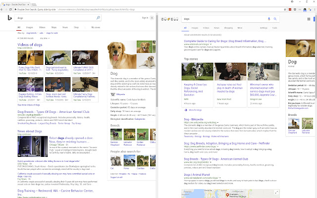 Double Shot Search: Query side by side  from Chrome web store to be run with OffiDocs Chromium online