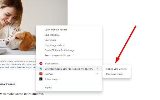 Download Google Lens For Mac and Windows PC  from Chrome web store to be run with OffiDocs Chromium online