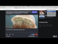 Download Notify  from Chrome web store to be run with OffiDocs Chromium online