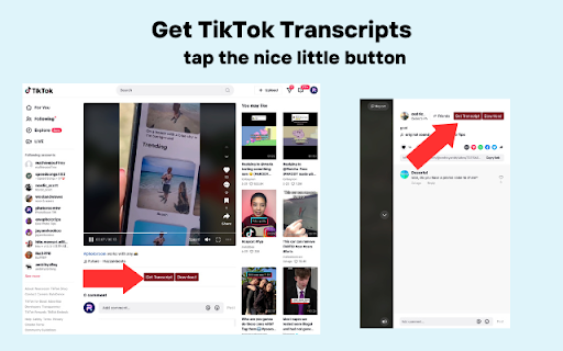 Download, Sort, Transcribe TikTok TokScribe  from Chrome web store to be run with OffiDocs Chromium online