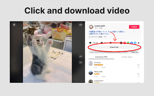 Download TikTok Video  from Chrome web store to be run with OffiDocs Chromium online