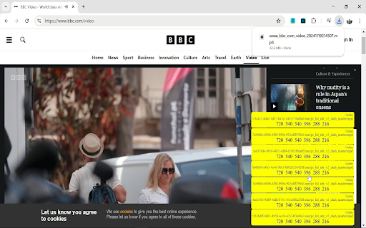 Download Video  from Chrome web store to be run with OffiDocs Chromium online