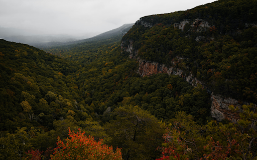 Dramatic Forest Canyon in Misty Autumn  from Chrome web store to be run with OffiDocs Chromium online